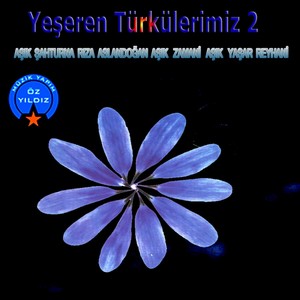 Yeşeren Türkülerimiz 2