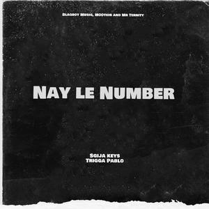 Nay le Number (feat. Blaqboy Musiq, M00tion & Mr Ternity)