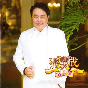 张天成 - 歌手