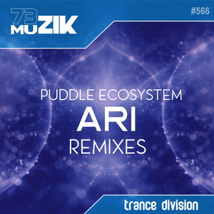 Ari (Goontha Remix)