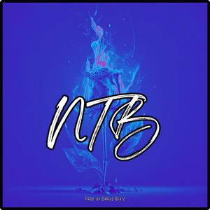 NTB (feat. Darius Beatz) [Explicit]