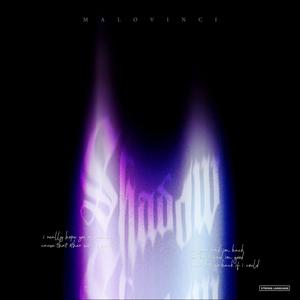 Shadow Work (Explicit)