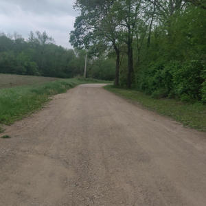 Flex (feat. Lyu) (Explicit)