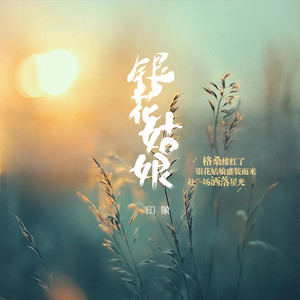 银花姑娘