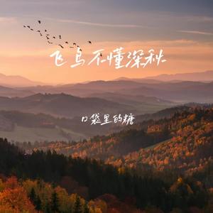 口袋里的糖 - 飞鸟不懂深秋