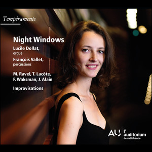 Night Windows