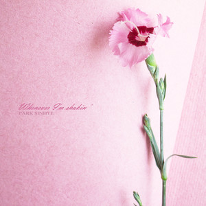 내가 흔들릴 때면 언제나 (Whenever I'm shakin ')