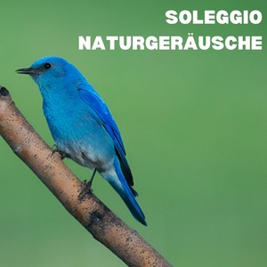 Soleggio Naturgeräusche