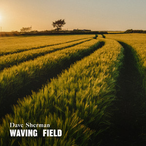 Waving Field