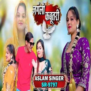 Aslam Singer SR 9797