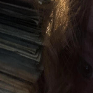 stoned (feat. fashionist) (Explicit)