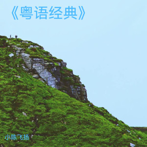 一生不醉醒封面