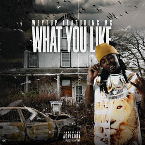 What You Like (Explicit)