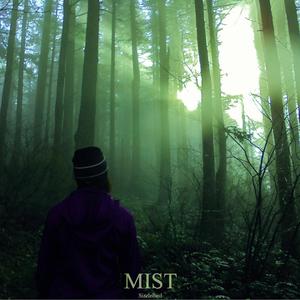 Mist (Deluxe Edition)