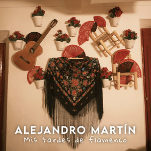 Mis tardes de flamenco (sevillanas y rumbas)