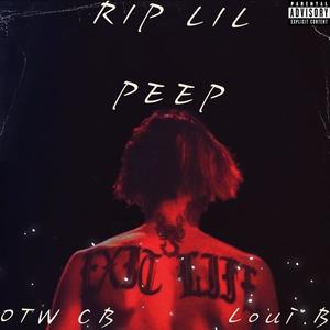 RIP Lil Peep (feat. Loui B)