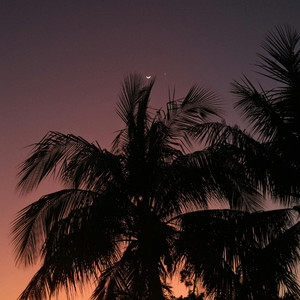 你抱着我掉眼泪说这世界太复杂 (氛围版)