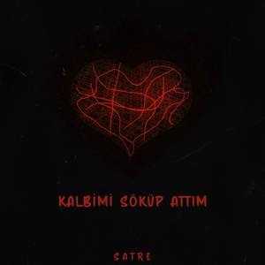 Kalbimi Söküp Attım