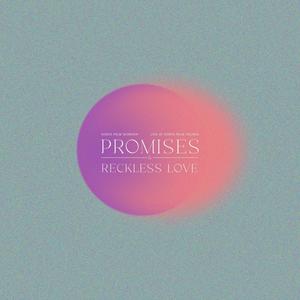 Promises & Reckless Love(feat. Tim Rice & Ashleigh Zacarias) (Live)