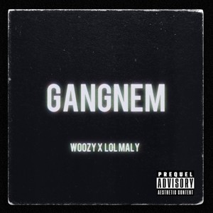 Gangnem (feat. Lolmaly) [Explicit]