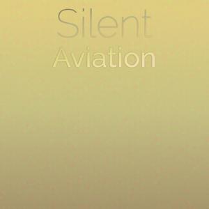 Silent Aviation