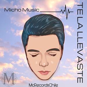 Te La Llevaste (Radio Edit)