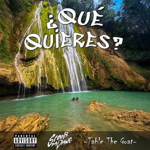 ¿Qué Quieres? (Instrumental)