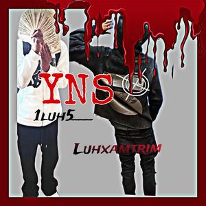 YNS (feat. 1luh_5) (Explicit)