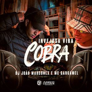 Invejosa Vira Cobra (Explicit)