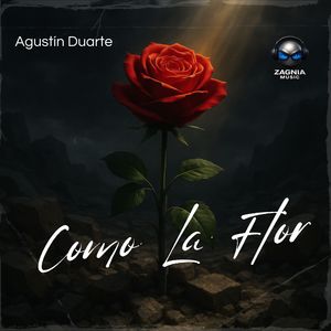 Como La Flor