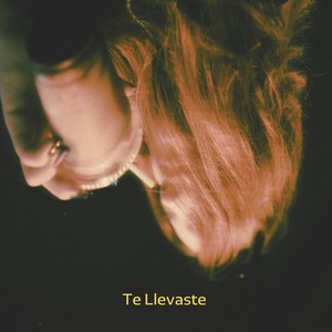 Te Llevaste