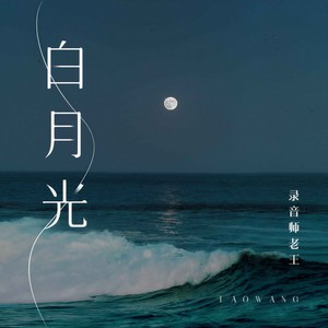 白月光