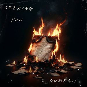 SEEKING YOU (Edit)