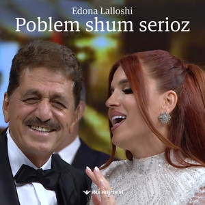Problem shum serioz