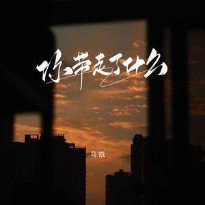 你带走了什么 (伴奏)