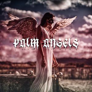 PALM ANGELS (Explicit)