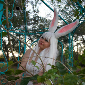 Funny Bunny (Explicit)