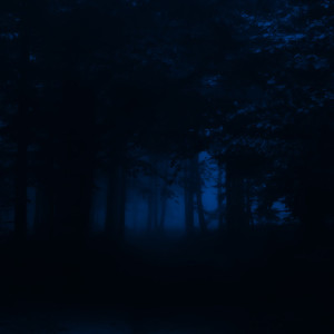 Walking into shadows