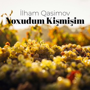 Noxudum Kişmişim