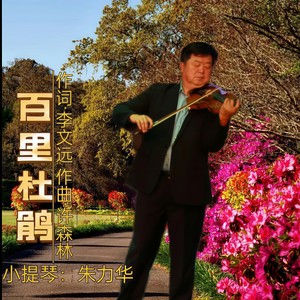 百里杜鹃 (小提琴版)