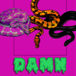 Damn (Explicit)