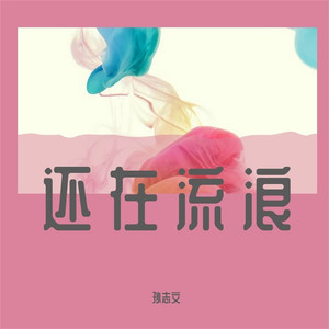 还在流浪