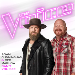 Can't You See (The Voice Performance)