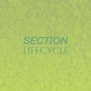 Section Lifecycle