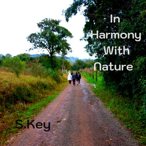 S. Key - White Noize Farm Ordinary Day