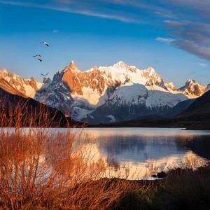 Vibraciones Acogedoras Del Día