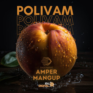 POLIVAM (Explicit)