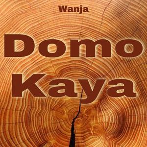 Domo Kaya