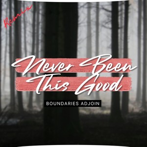 Never Been This Good (DJ Jim Remix)