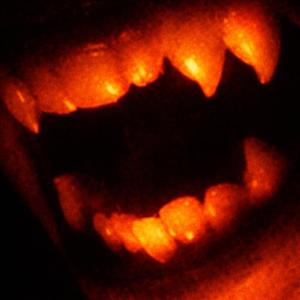 Rosée (SANDBOX) (Explicit)